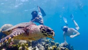 Voyage de noces aux Maldives : bien choisir ses activités à faire en couple