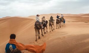 Climat de Marrakech en juin