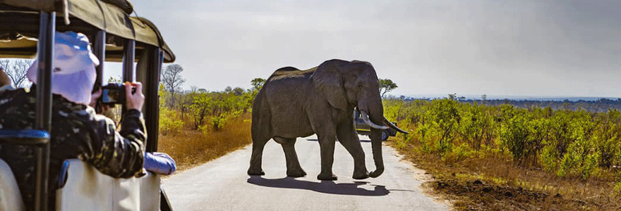 voyager en Afrique du Sud