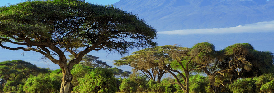 voyage au Kilimandjaro