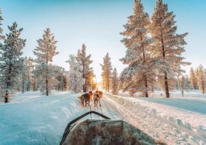 Pourquoi faire un voyage en Laponie ?