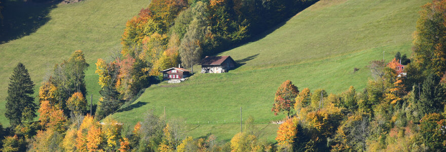 Suisse lacustre